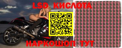 бошки Тара