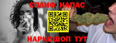 бошки Тара