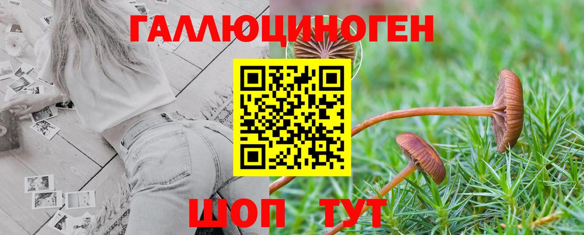 ГАШ  A-PVP СОЛЬ   Меф МЯУ МЯУ кристаллы  Белово  ГАШ  Вход с VPN  Канабис  Конопля 