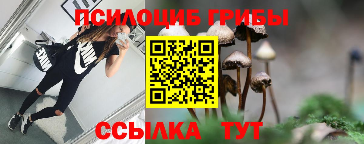 Галлюциногенные грибы мухоморы Белово